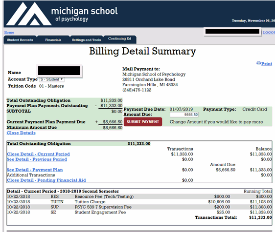 Screenshot of Empower Billing Detail Summary detail