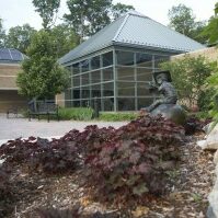 Decorative image showing the outside of the main building at MSP