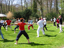 People doing yoga photo