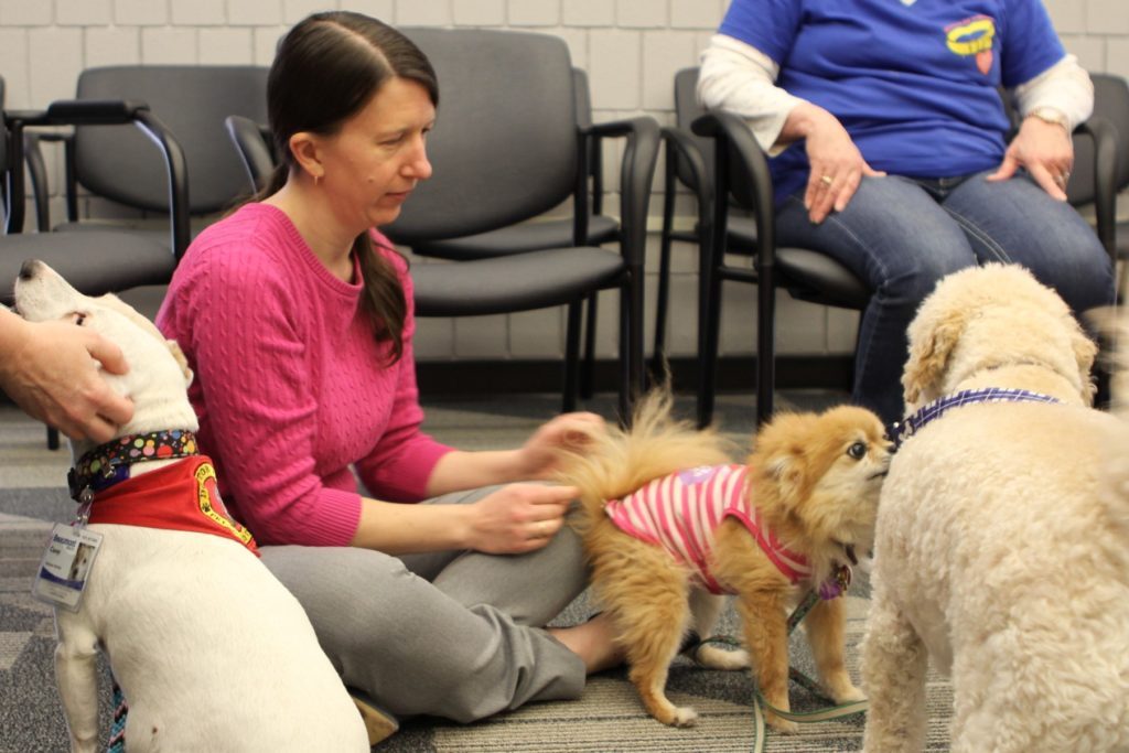 Photo of Carrie Pyeatt with therapy dogs