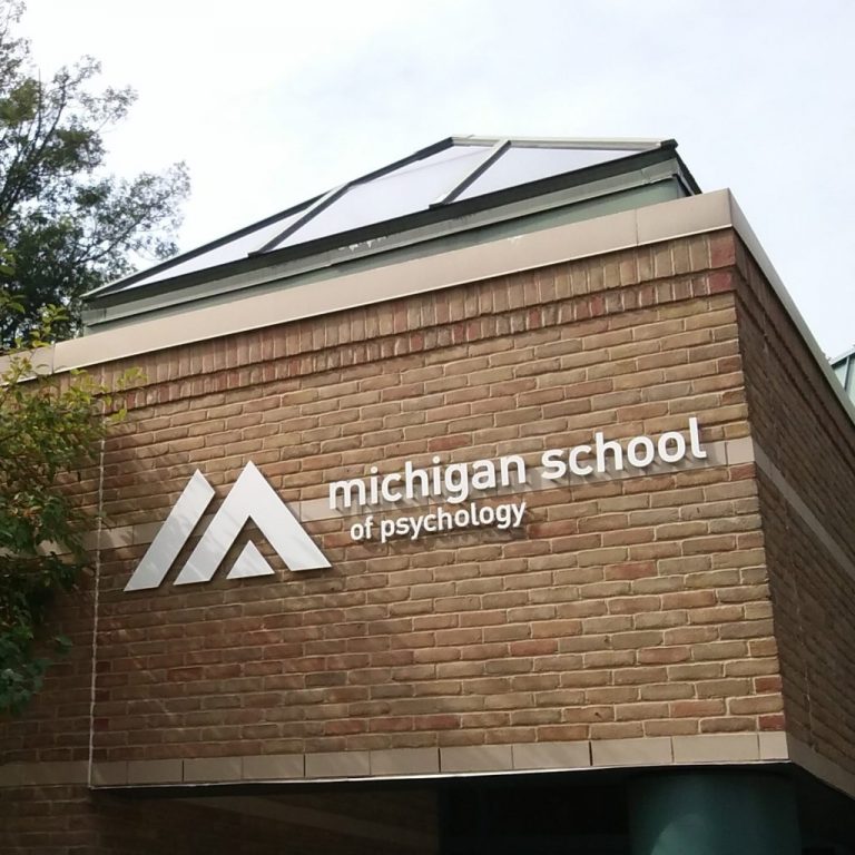 Annual Report The Michigan School of Psychology (MSP)