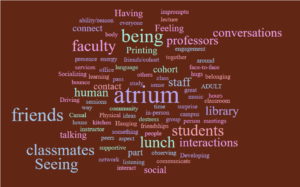 collage of words associated with MSP