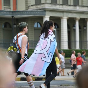 Stock Photo of Individuals at a Pride Event with Trans Flag
