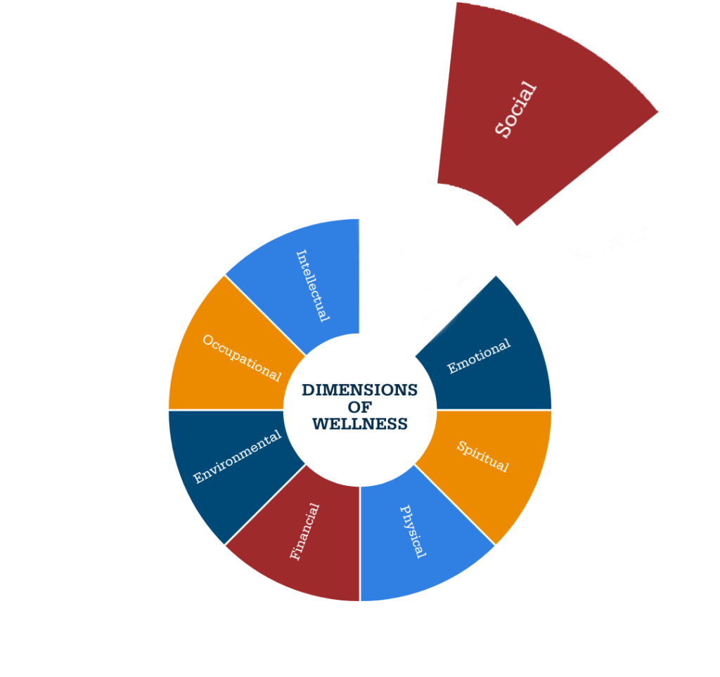 Photo of the wellness wheel with the social slice enlarged