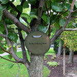 Photo of name plaque on a tree that says "Richard Henry Blair"